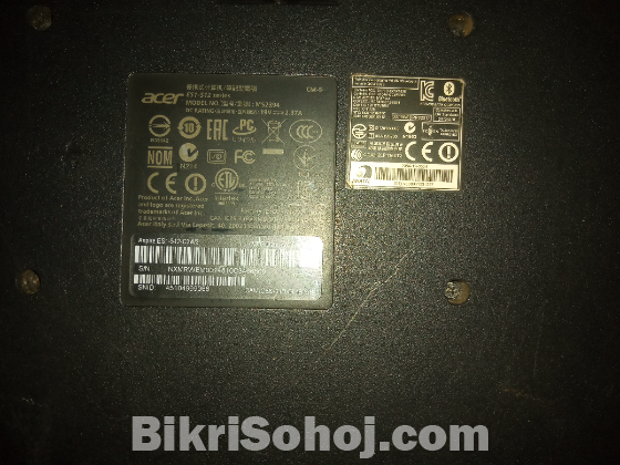 Acer extensa 2519